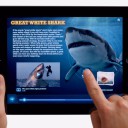 Taking Screenshots with your iPad