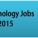 Best 11 Technology Jobs of 2015